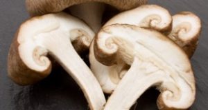 Shitake Plize