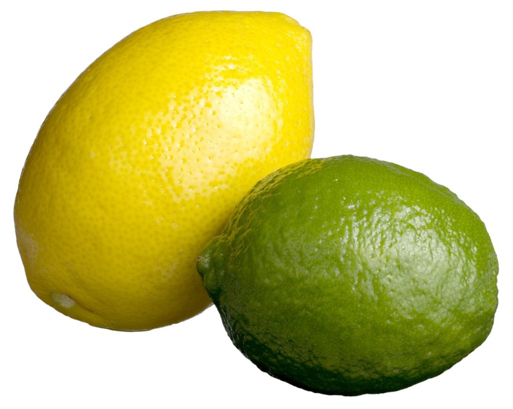 Zitronen oder Limetten welche Frucht ist gesünder? Der FoodWachund